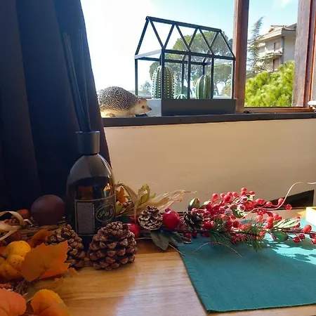 Casetta Dei Ricci Tatil Evi